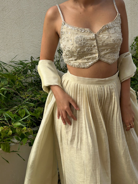 Beige Crop top & Palazzo Set