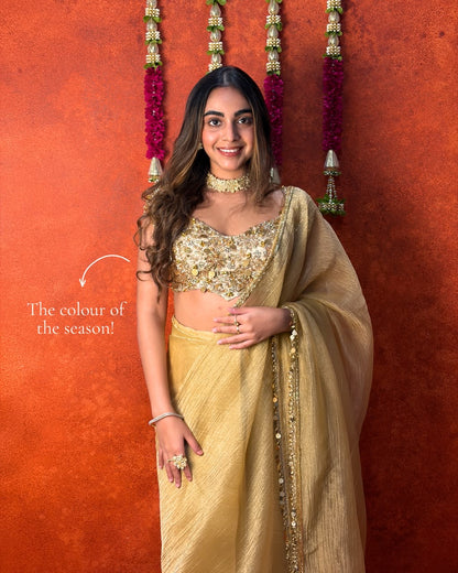 Gold tissue coins and ghungroo saree and blouse