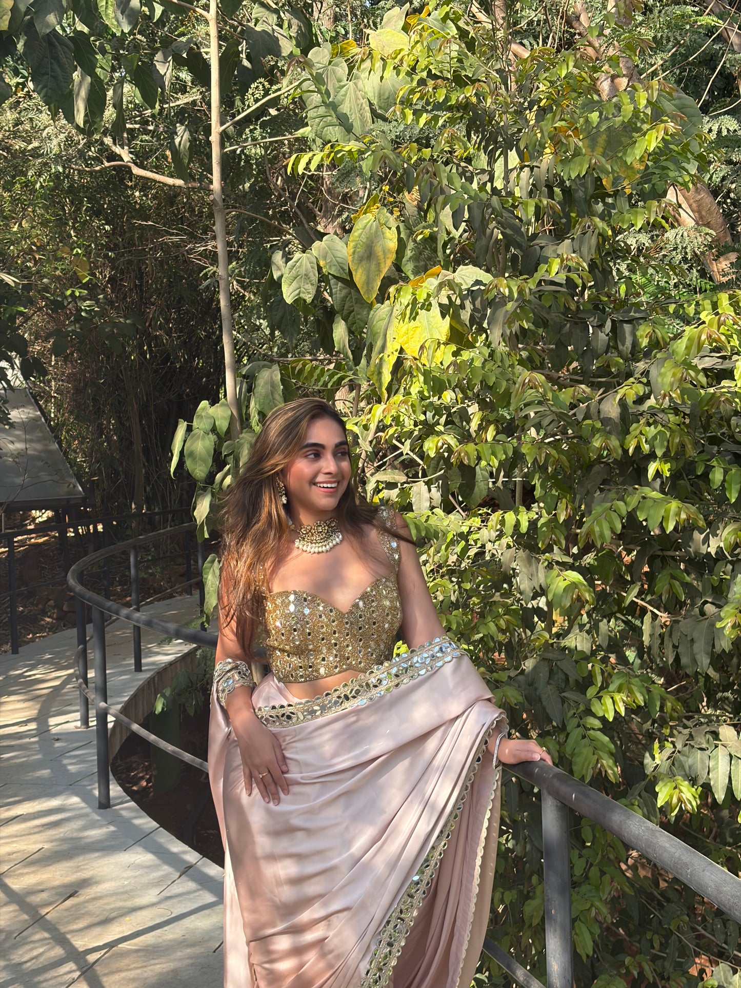 Beige Pink mirror work saree and blouse